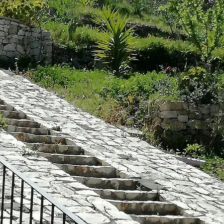 Dom wakacyjny La Pietra